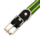 Ошейник брезентовый безразмерный двухслойный, 50×2 см, ОШ 22-45 см, хаки/зелёный - Фото 5