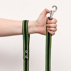 Поводок брезентовый, 2.7 м × 2.5 см, хаки/зелёный - Фото 7