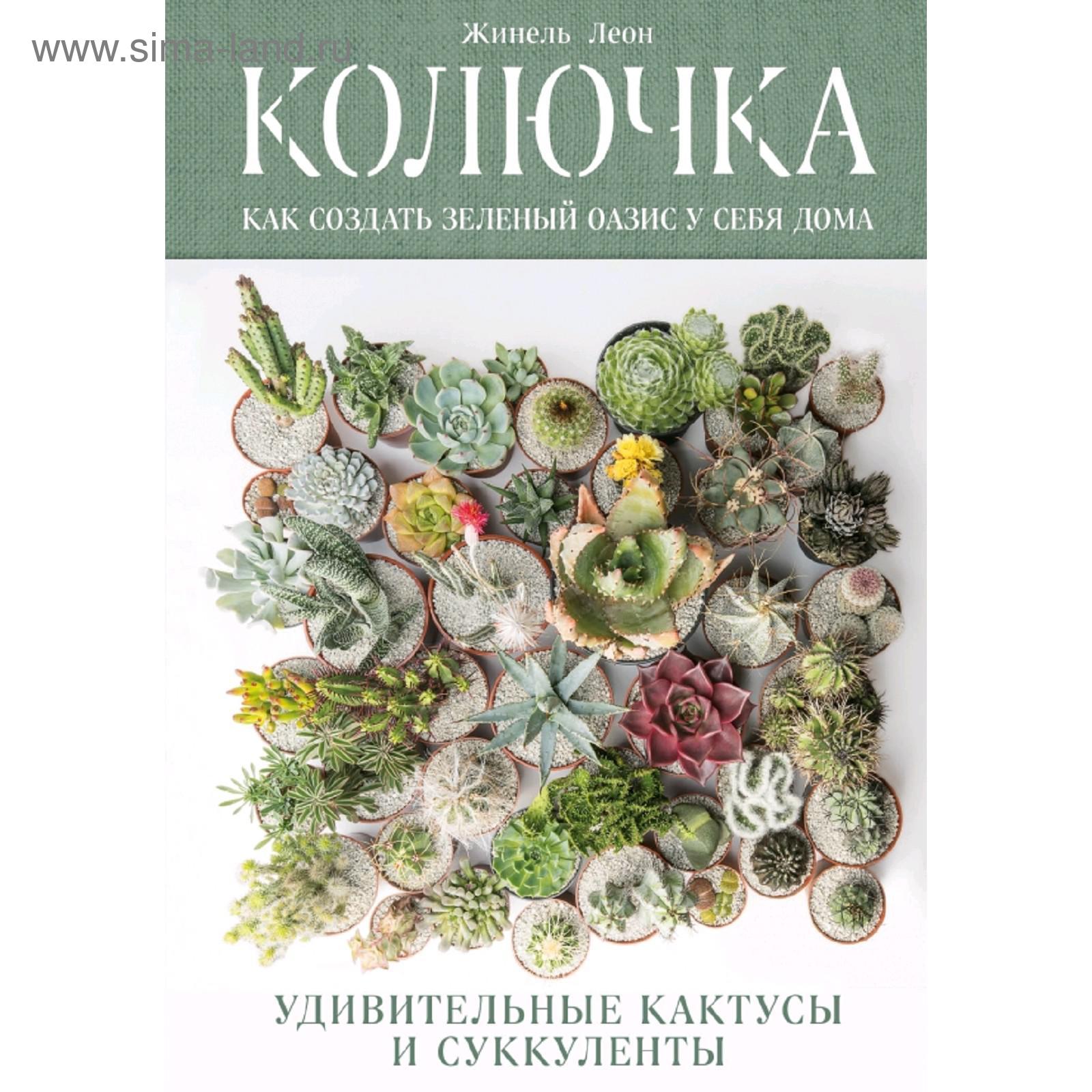 Колючка: как создать зеленый оазис у себя дома. Удивительные кактусы и  суккуленты (5158017) - Купить по цене от 763.00 руб. | Интернет магазин  SIMA-LAND.RU