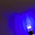 Лампа светодиодная Строб, прозрачная, Е27, 4LED, 3 Вт, 220 В, синее свечение - Фото 6