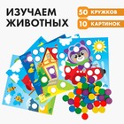 Весёлые кружочки «Запоминаем цвета» - Фото 1