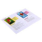 Маленькие фантазеры "Клоун", с аппликацией. Автор: Ульева Е.А. - Фото 4