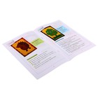 Маленькие фантазеры "Котик", с аппликацией. Автор: Ульева Е.А. - Фото 4