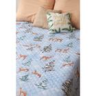 Покрывало "Этель" евро Зимнее волшебство, 230х210 см, микрофибра - фото 30299285