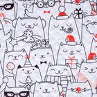 Покрывало "Этель" евро Xmas cat, 230х210 см, микрофибра 5080096