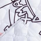 Покрывало "Этель" евро Xmas cat, 230х210 см, микрофибра 5080096