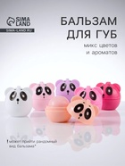 Бальзам для губ «Пандочка», микс цветов и ароматов - Фото 1