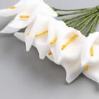 Цветы для декорирования "Белые каллы" 1 букет=12 цветов 11 см - Фото 4