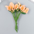 Цветы для декорирования "Персиковые каллы" 1 букет=12 цветов 11 см - фото 9041065