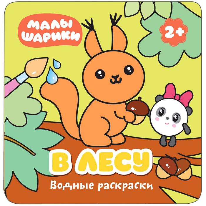 Книги из серии «Водные раскраски»