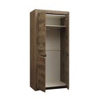 Шкаф для одежды «Лючия» 33.03, 2 двери, 1078 × 580 × 2300 мм, цвет кейптаун / венге - Фото 2