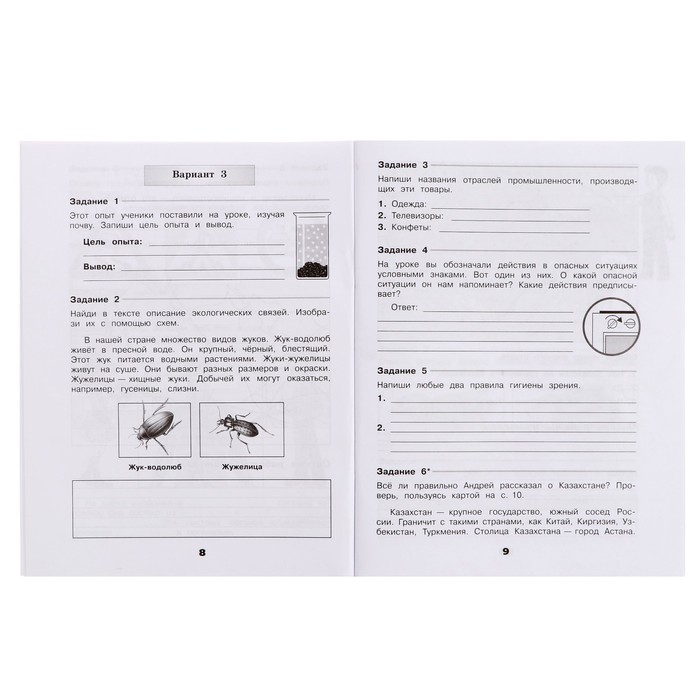 Проверочные работы «Окружающий мир», новое оформление, 4 класс. Плешаков А. А., ФГОС 5127973