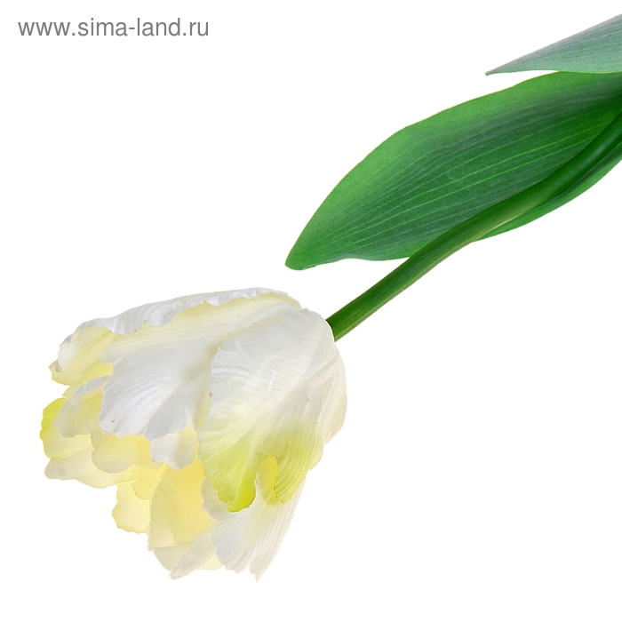 цветы искусственные тюльпан махровый 56 см белый - Фото 1
