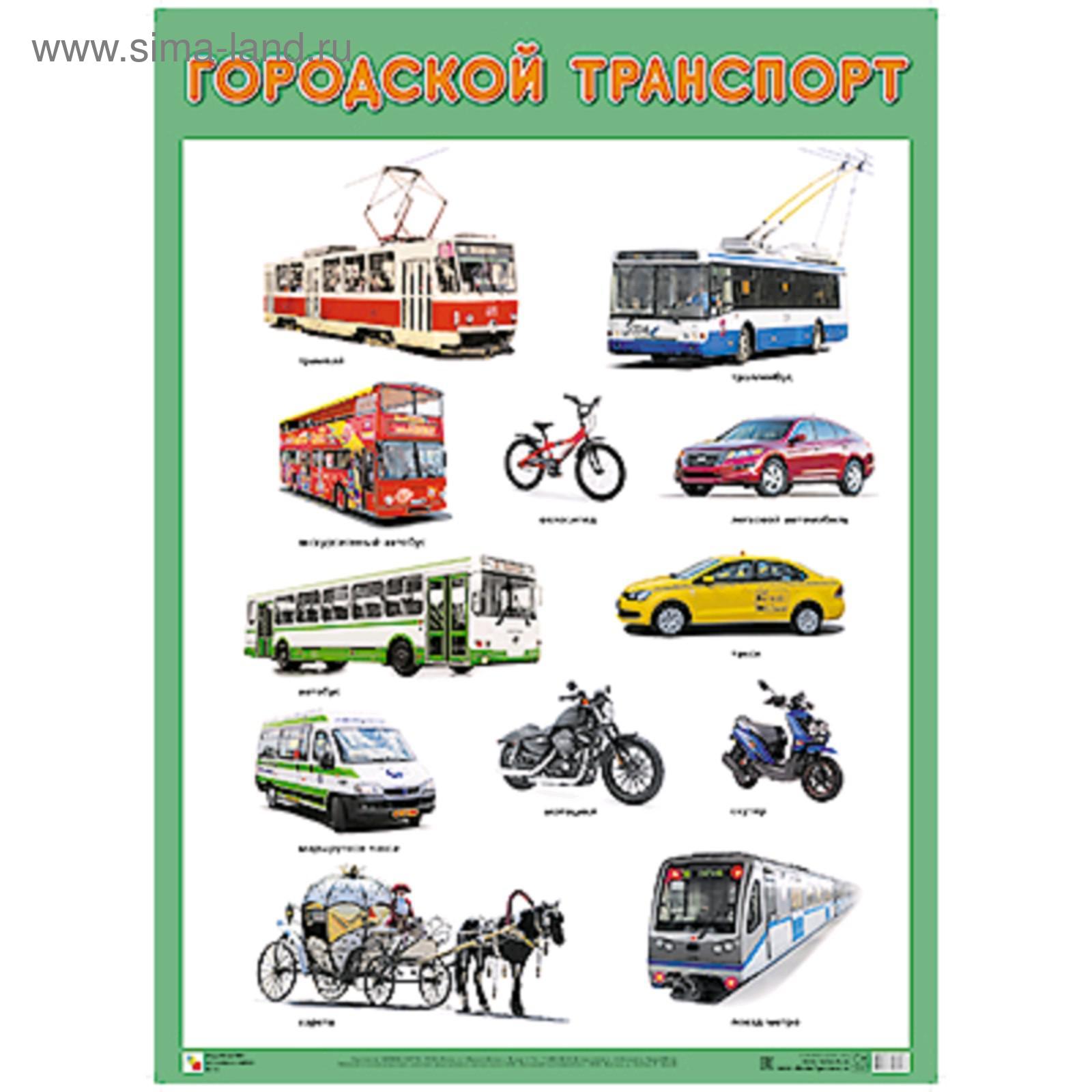 Плакат. Городской транспорт