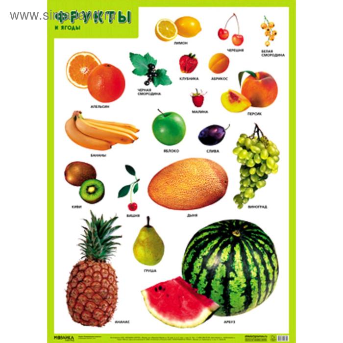 Плакат. Фрукты и ягоды, А2 - Фото 1