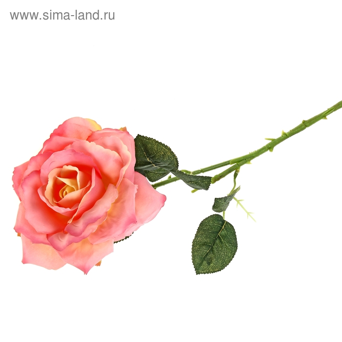 цветы искусственные роза парковая 62 см розовая - Фото 1