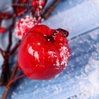 Еловая ветка декоративная «Зимнее волшебство. Очарование», 23 см - Фото 3