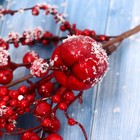 Еловая ветка декоративная «Зимнее волшебство. Очарование», с яблочком и ягодками, 30 см - Фото 3