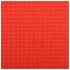 Коврик для йоги 173 х 61 х 0,3 см, цвет красный - Фото 8