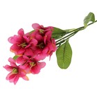 цветы искусственные  жасмин 68 см d-5 см малиновый - Фото 1