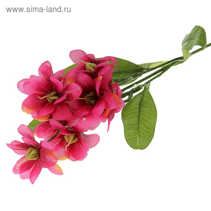 цветы искусственные  жасмин 68 см d-5 см малиновый - Фото 1