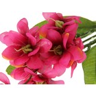 цветы искусственные  жасмин 68 см d-5 см малиновый - Фото 2