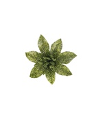 Ёлочные игрушки 6 шт. «Зимнее волшебство. Цветы пышные - блеск» пластик, 5×5 см, МИКС 5043552