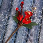 Декор "Зимнее очарование" цветы ягоды листья, 16 см - Фото 3