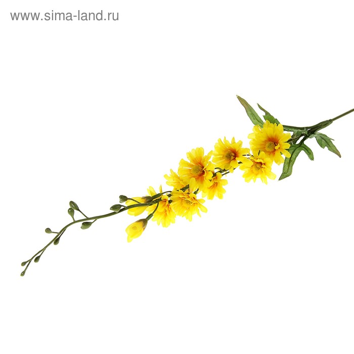 Веточки С Желтыми Цветами