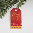 Ёлочная игрушка новогодняя деревянная «Новый год: Звезда», 10х10 см - фото 25415336