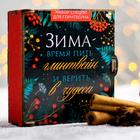 Подарочный набор для глинтвейна «Зима»: в деревянной шкатулке, 60 гр. - Фото 1