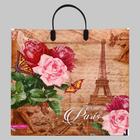 Пакет "Париж с розами", полиэтиленовый с пластиковой ручкой, 37х35 см, 90 мкм - Фото 1