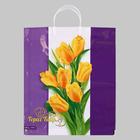 Пакет " Нежные тюльпаны", полиэтиленовый с пластиковой ручкой, 90 мкм 38 х 44 см - фото 9044837