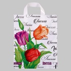 Пакет "Инесса", полиэтиленовый с петлевой ручкой, 28x34 см, 60 мкм (25 шт) - фото 809395676