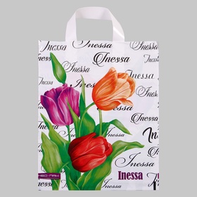 Пакет «Инесса», полиэтиленовый с петлевой ручкой, 28?34 см, 60 мкм (комплект 25 шт)