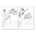 Раскраски-прописи набор «Развиваем руку», 4 шт. по 20 стр. - Фото 5