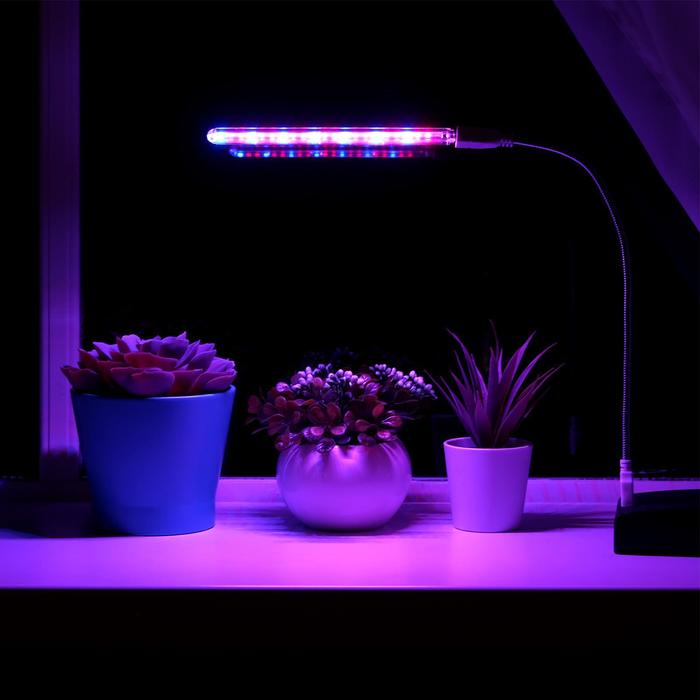 Фитосветильник светодиодный, 3 Вт, от USB, на гибкой ножке, - Фото 1