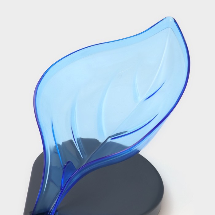 Мыльница пластиковая на присосках Доляна «Лист», 21×9×15 см, цвет МИКС - фото 1885055809