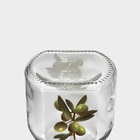 Бутылка для соуса и масла «Олива», 275 мл, стекло, прозрачная - Фото 5