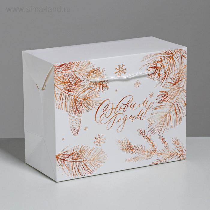 Пакет-коробка «С Новым годом», 23 х 18 х 11 см, Новый год