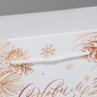 Пакет-коробка «С Новым годом», 23 × 18 × 11 см - Фото 4