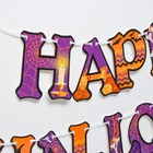 Карнавальный набор Happy Halloween, паутина, гирлянда - фото 6322069
