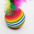 Набор из 2 игрушек "Полосатые шарики с перьями", диаметр шара 3,8 см, микс цветов - Фото 2