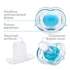 Соска - пустышка силиконовая ортодонтическая M&B, от 6 мес., с колпачком, голубой - Фото 3