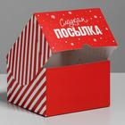 Коробка для капкейков «Новогодняя посылка» 16 х 16 х 10 см - Фото 5