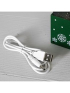 Светодиодная фигура «Подарок зелёный» 10×19×10 см, пластик, от батареек ААх3, USB, свечение тёплое белое - Фото 8