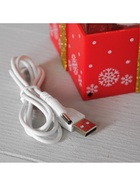 Светодиодная фигура «Подарок красный» 10×19×10 см, пластик, от батареек ААх3, USB, свечение тёплое белое - Фото 8