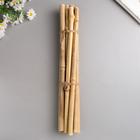 Декоративный бамбук 40 см, 10 шт - Фото 2