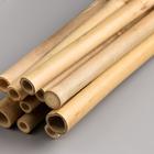Декоративный бамбук 40 см, 10 шт - фото 8138855
