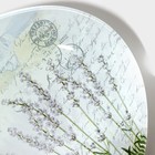 Блюдо стеклянное сервировочное Доляна «Весенний роман», овальное, 24,5×15×2 см - Фото 5